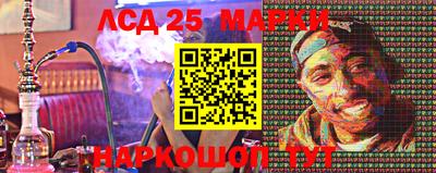 амф Новодвинск
