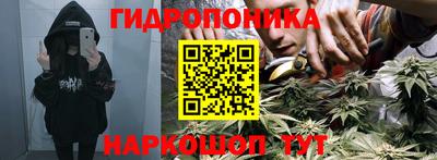 jwh Новозыбков