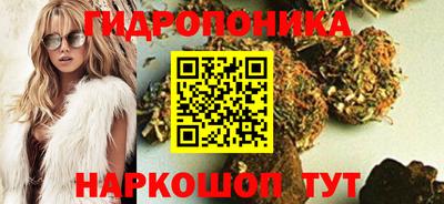 jwh Новозыбков