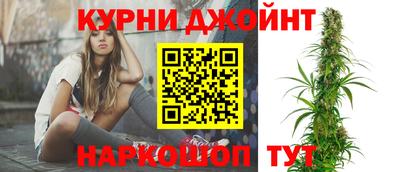 jwh Новозыбков